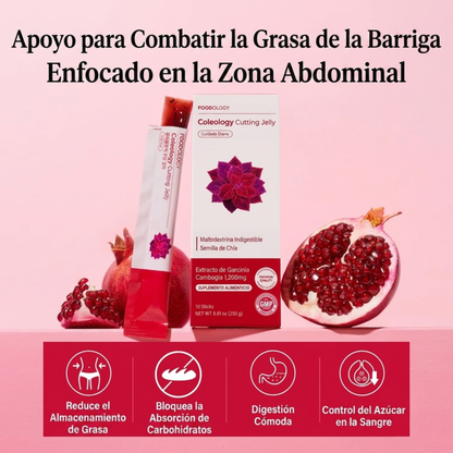 Gelatina Control Calórico