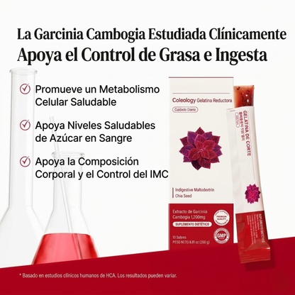 Gelatina Control Calórico