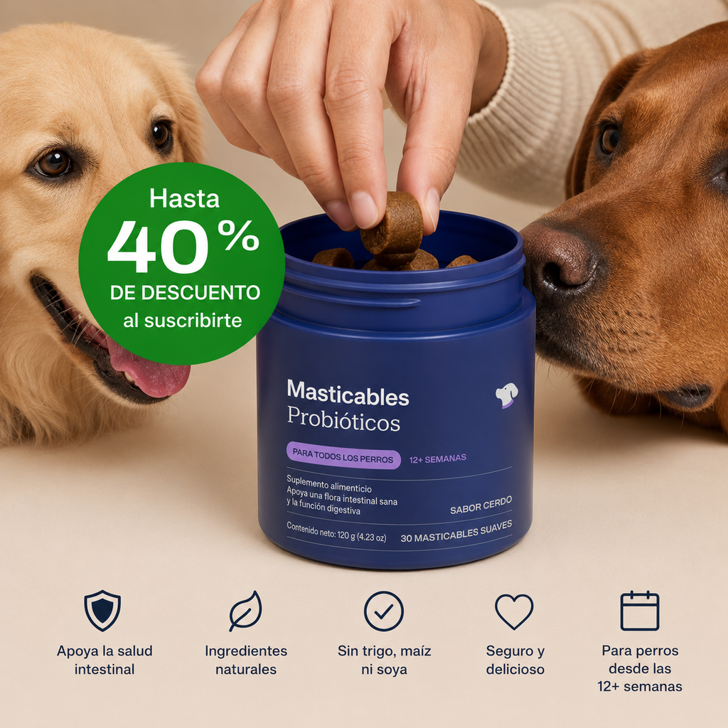 Probióticos para perro