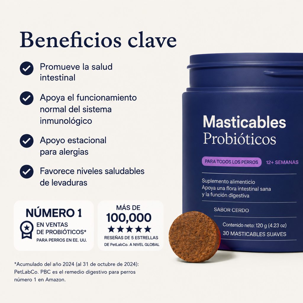 Probióticos para perro