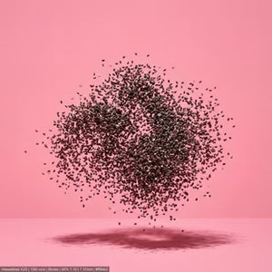 Semillas de chia