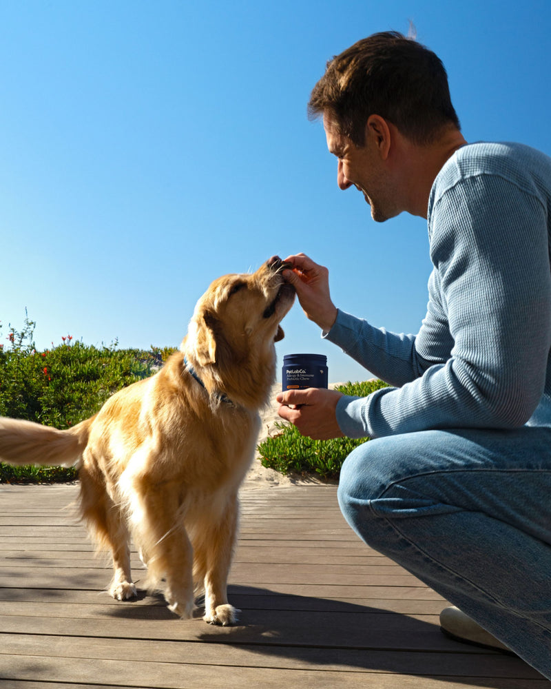 Beneficios del Probiotic