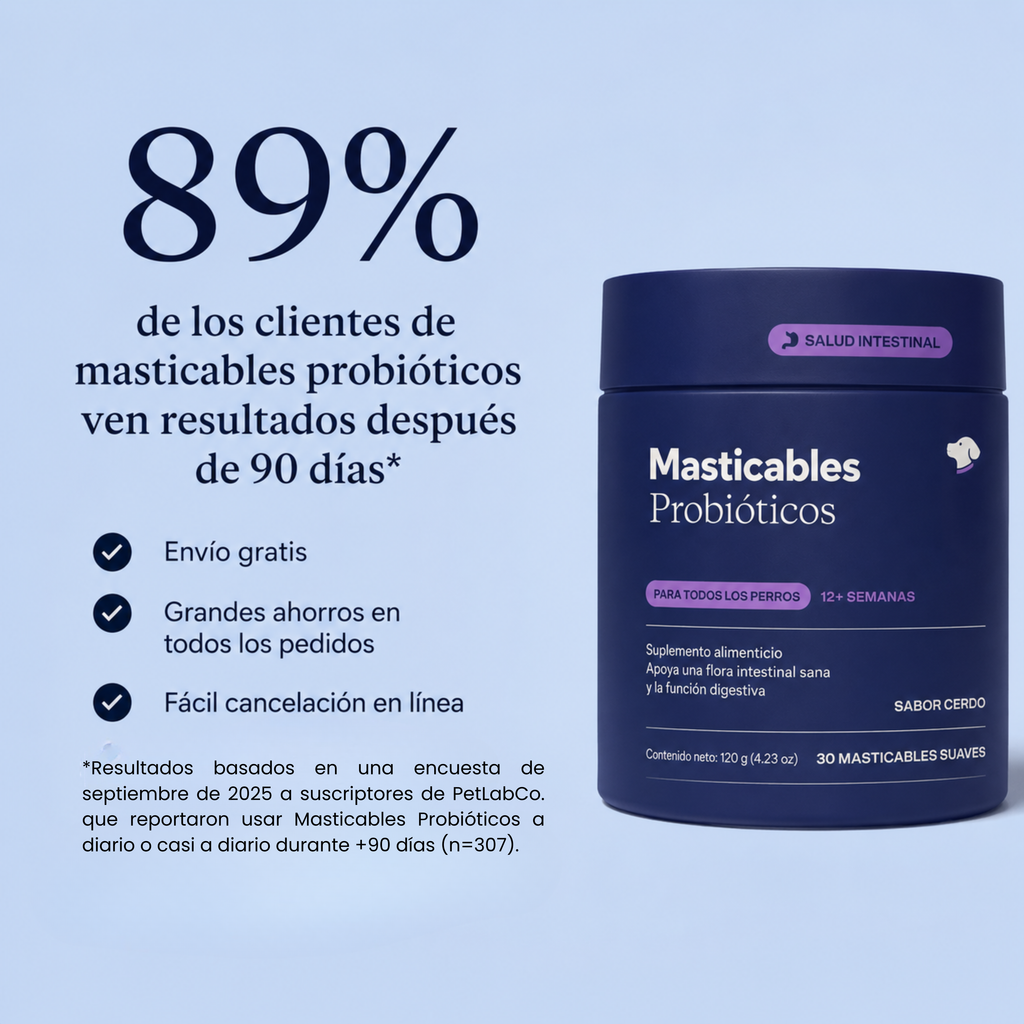 Probióticos para perro