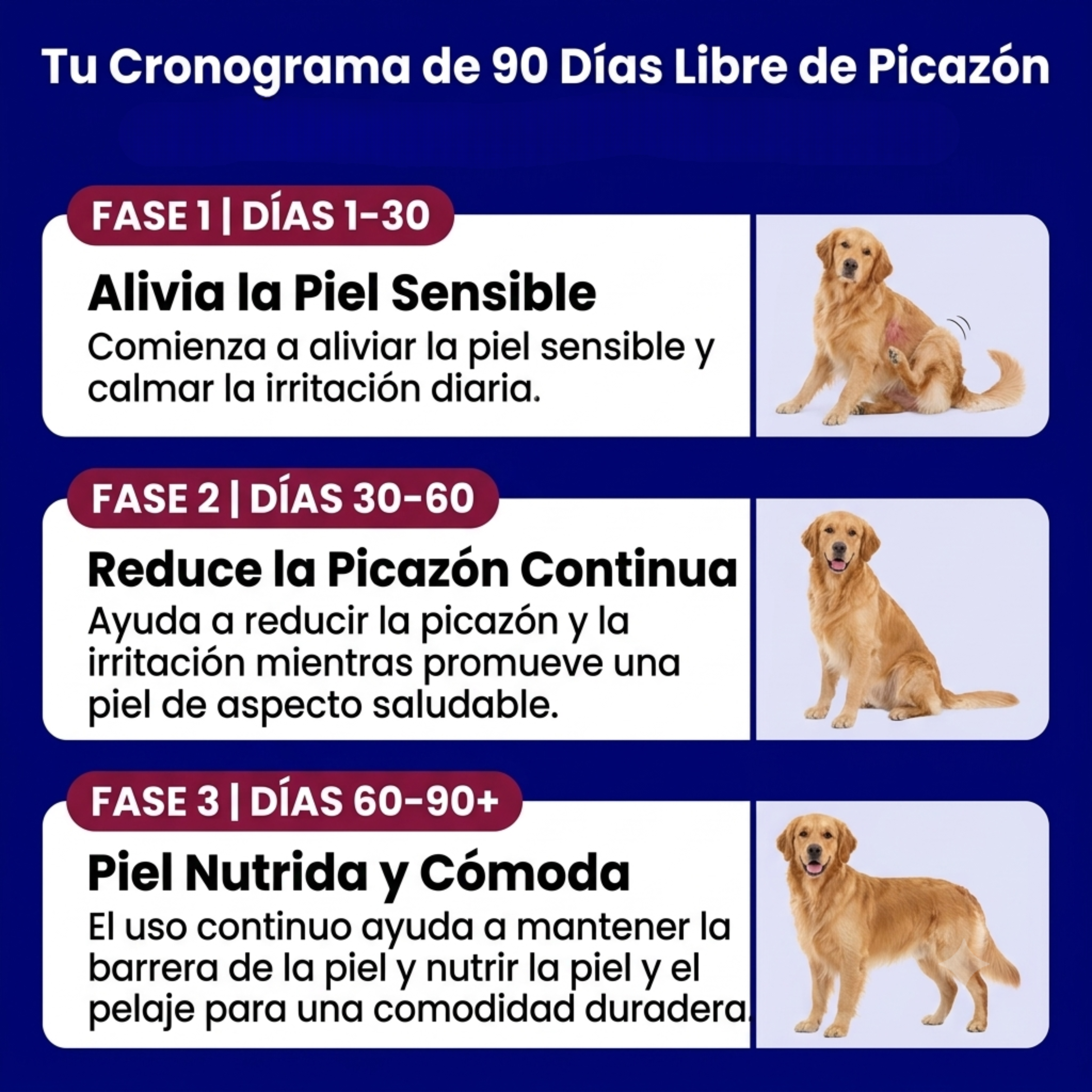 Probióticos para perro